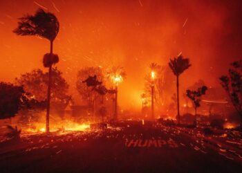 179.000 Orang Dievakuasi Akibat Kebakaran Hebat di Los Angeles