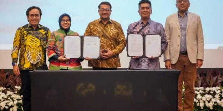 Ⓒ Hak cipta foto di atas dikembalikan sesungguhnya kepada pemilik foto