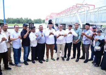 Ⓒ Hak cipta foto di atas dikembalikan sesungguhnya kepada pemilik foto