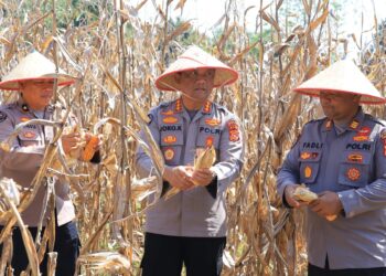 Ⓒ Hak cipta foto di atas dikembalikan sesungguhnya kepada pemilik foto