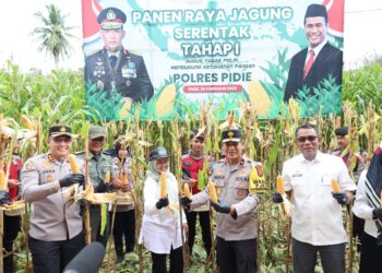 Ⓒ Hak cipta foto di atas dikembalikan sesungguhnya kepada pemilik foto KETIKKABARcom Ⓒ Hak cipta foto di atas dikembalikan sesungguhnya kepada pemilik foto