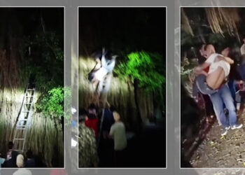 Ⓒ Hak cipta foto di atas dikembalikan sesungguhnya kepada pemilik foto