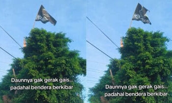 Netizen Buktikan Daun Tak Bergerak Saat Salat Id, Tapi Bendera di Atas Pohon Berkibar