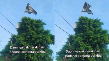 1000033219jpg KETIKKABARcom Netizen Buktikan Daun Tak Bergerak Saat Salat Id Tapi Bendera di Atas Pohon Berkibar