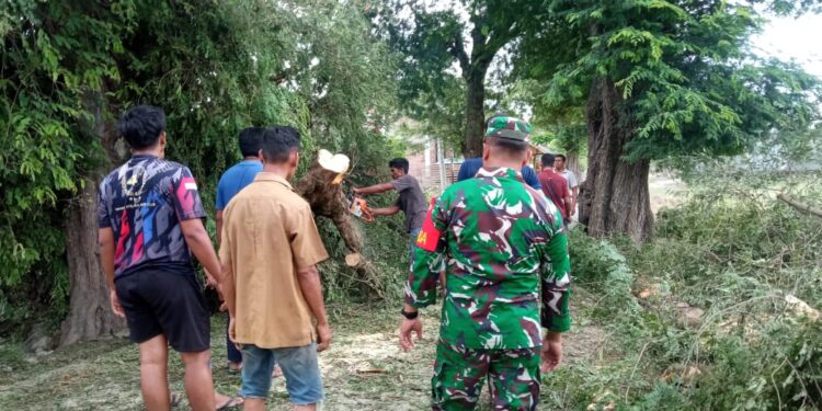 Petugas BPBD Aceh Besar bersama personel TNI dari Koramil Kuta Cot Glie anggota Polsek serta masyarakat sekitar mengevakuasi pohon tumbang di Gampong Lampoh Raja Kecamatan Kuta Cot Glie Kabupaten Aceh Besar Selasa 842025 pagi FOTO DOK MC ACEH BESAR KETIKKABARcom Petugas BPBD Aceh Besar bersama personel TNI dari Koramil Kuta Cot Glie anggota Polsek serta masyarakat sekitar mengevakuasi pohon tumbang di Gampong Lampoh Raja Kecamatan Kuta Cot Glie Kabupaten Aceh Besar Selasa 842025 pagi FOTO DOK MC ACEH BESAR