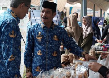 Wakil Bupati Aceh Besar Drs Syukri meninjau hasil karya masyarakat pada Bazar Literasi di halaman Disperpusip Aceh Besar Kota Jantho Selasa 20052025 FOTOMC ACEH BESAR