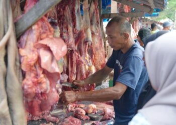 Ⓒ Hak cipta foto di atas dikembalikan sesungguhnya kepada pemilik foto