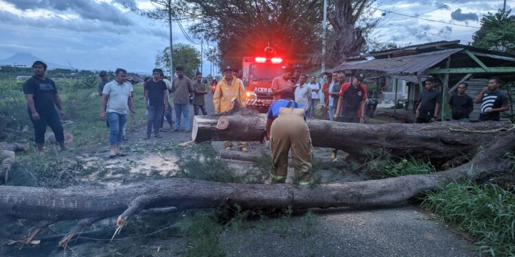 BPBD Aceh Besar dan Warga Mengevakuasi Pohon tumbang di jalan makan TNyak Arif Gampong Meunasah Papeun Kec Krueng Barona Jaya Kab Aceh Besar KETIKKABARcom KETIKKABARcom BPBD Aceh Besar dan Warga Mengevakuasi Pohon tumbang di jalan makan TNyak Arif Gampong Meunasah Papeun Kec Krueng Barona Jaya Kab Aceh Besar KETIKKABARcom