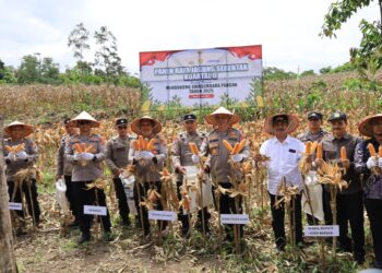 Ⓒ Hak cipta foto di atas dikembalikan sesungguhnya kepada pemilik foto