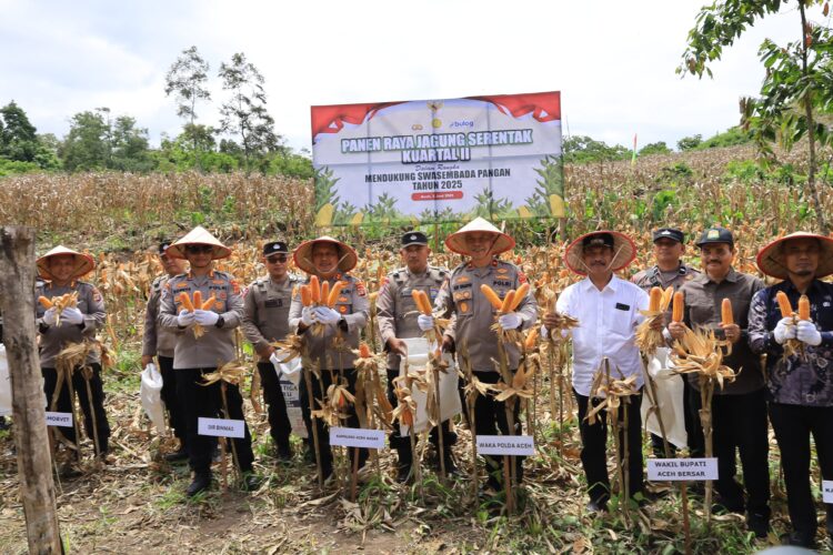 Ⓒ Hak cipta foto di atas dikembalikan sesungguhnya kepada pemilik foto KETIKKABARcom Ⓒ Hak cipta foto di atas dikembalikan sesungguhnya kepada pemilik foto