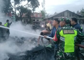 Ⓒ Hak cipta foto di atas dikembalikan sesungguhnya kepada pemilik foto