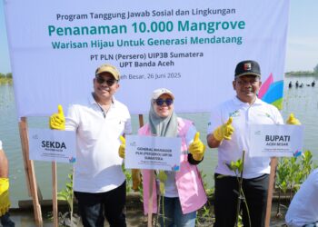 Foto bersama Staf Ahli Bupati Ir Makmun MT (ketiga dari kiri), Senior Manager Keuangan, Komunikasi, dan Umum PT PLN UIP3B Sumatera, Yenti Elfina (kedua dari kiri), Kepala Dinas Lingkungan Hidup dan Kehutanan Provinsi Aceh, Abdul Hanan SP MSi (kiri), pada penanaman 10 ribu mangrove, di Gampong Baet, Kecamatan Baitussalam, Kabupaten Aceh Besar, Kamis (26/6/2025). FOTO/ MC ACEH BESAR DI