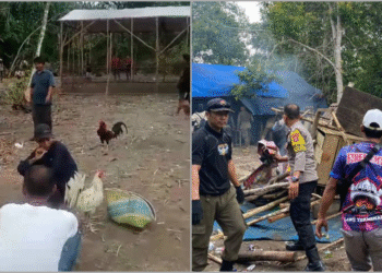 Ⓒ Hak cipta foto di atas dikembalikan sesungguhnya kepada pemilik foto
