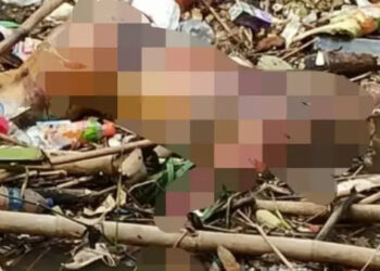 Ⓒ Hak cipta foto di atas dikembalikan sesungguhnya kepada pemilik foto