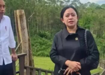 Ⓒ Hak cipta foto di atas dikembalikan sesungguhnya kepada pemilik foto