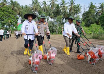 Wakil Bupati Aceh Besar Drs H Syukri A Jalil bersama Kapolresta Banda Aceh Kombes Pol, Joko Heri Purwono, SH, S.I.K, melakukan penanaman Jagung Serentak Kuartal III, bertempat di Gampong (desa-red) Bada, Kecamatan Ingin Jaya, Rabu (09/07/2025). FOTO/MC ACEH BESAR