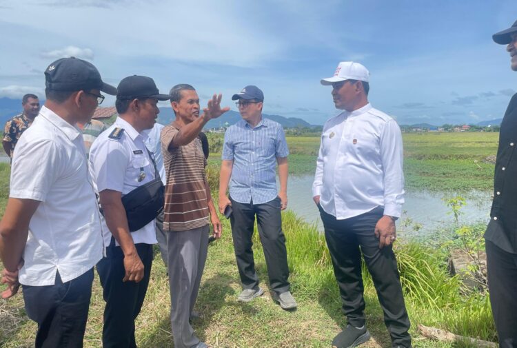 Bupati Aceh Besar H Muharram Idris Syech Muharram berdialog dengan para petani saat peninjauan kondisi area pertanian Blang Tamak Tungkop Darussalam Aceh Besar Rabu 2372025 FOTO MC ACEH BESAR KETIKKABARcom Bupati Aceh Besar H Muharram Idris Syech Muharram berdialog dengan para petani saat peninjauan kondisi area pertanian Blang Tamak Tungkop Darussalam Aceh Besar Rabu 2372025 FOTO MC ACEH BESAR