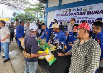 Ⓒ Hak cipta foto di atas dikembalikan sesungguhnya kepada pemilik foto