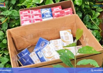 Ⓒ Hak cipta foto di atas dikembalikan sesungguhnya kepada pemilik foto