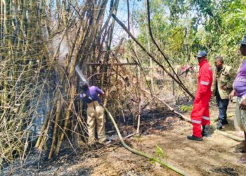 Petugas Damkar BPBD Aceh Besar melakukan pendinginan di sekitar lahan dan rumpun bambu yang terbakar, di Kawasan Gampong Pakuk, Kecamatan Kuta Cot Glie, Kabupaten Aceh Besar, Selasa (26/8/2025). FOTO/ MC ACEH BESAR