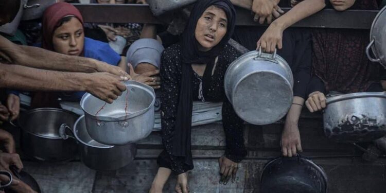 Bencana kelaparan Foto kondisi warga Gaza yang kesulitan mendapatkan makanan FOTOTelegramRisalahAmar KETIKKABARcom Bencana kelaparan Foto kondisi warga Gaza yang kesulitan mendapatkan makanan FOTOTelegramRisalahAmar