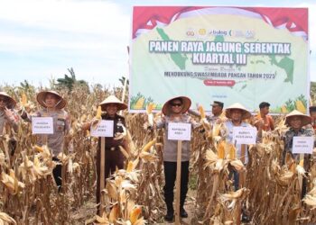 Ⓒ Hak cipta foto di atas dikembalikan sesungguhnya kepada pemilik foto