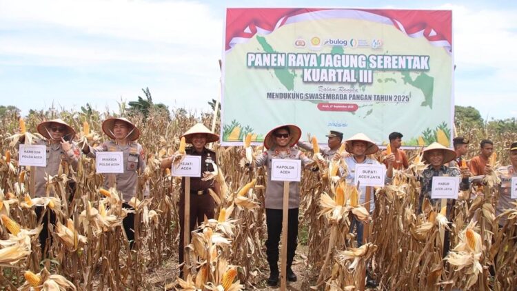 Ⓒ Hak cipta foto di atas dikembalikan sesungguhnya kepada pemilik foto
