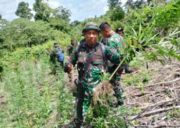 Ⓒ Hak cipta foto di atas dikembalikan sesungguhnya kepada pemilik foto KETIKKABARcom Ⓒ Hak cipta foto di atas dikembalikan sesungguhnya kepada pemilik foto
