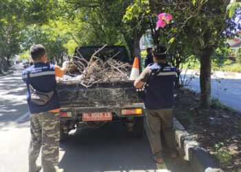 etugas DLH Aceh Besar mekakukan pembersihan baliho dan ranting pohon di sepanjang jalan protokol di kawasan Kecamatan Darul Imarah, Jumat, (19/09/2025). FOTO/MC ACEH BESAR