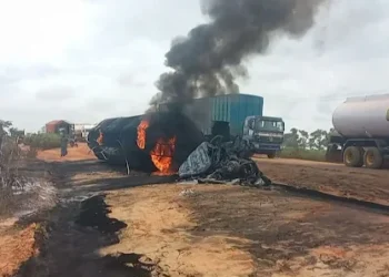 Ⓒ Hak cipta foto di atas dikembalikan sesungguhnya kepada pemilik foto