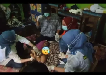 Ⓒ Hak cipta foto di atas dikembalikan sesungguhnya kepada pemilik foto