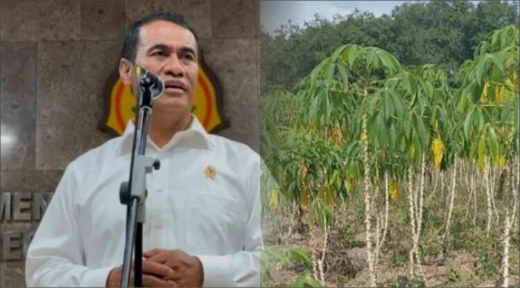 Foto KolaseKETIKKABARcom KETIKKABARcom Foto KolaseKETIKKABARcom