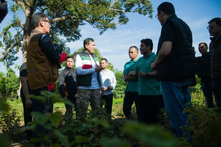 Wagub Aceh mengunjungi lokasi budidaya tanaman nilam milik kelompok Nilam Lhoong Aceh Sejahtera Nilas di Gampong Umong Seuribee Kecamatan Lhoong Kabupaten Aceh Besar Sabtu 4102025 KETIKKABARcom Wagub Aceh mengunjungi lokasi budidaya tanaman nilam milik kelompok Nilam Lhoong Aceh Sejahtera Nilas di Gampong Umong Seuribee Kecamatan Lhoong Kabupaten Aceh Besar Sabtu 4102025