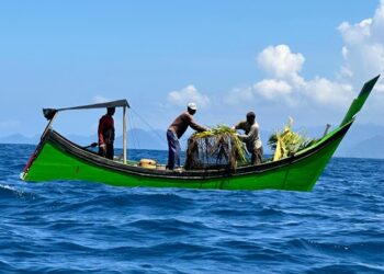 Ⓒ Hak cipta foto di atas dikembalikan sesungguhnya kepada pemilik foto