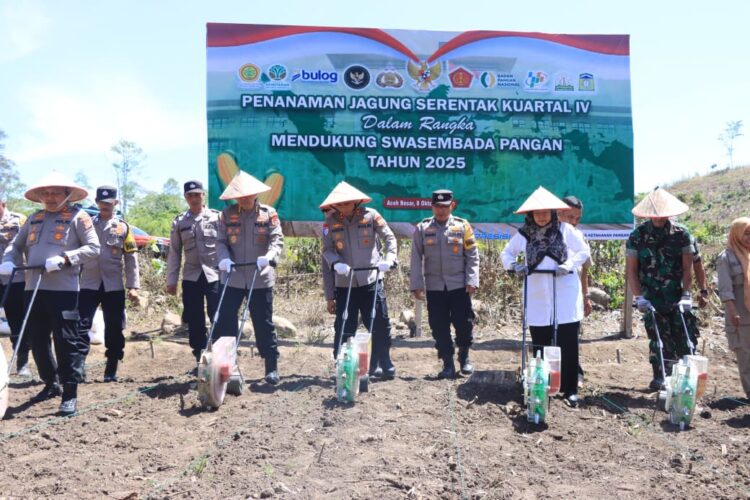 Kapolda Aceh Irjen Pol Marzuki Ali Basyah MM melaksanakan penanaman jagung serentak Kuartal IV di Desa Suka Damai Kecamatan Lembah Seulawah Aceh Besar Rabu 8102025 KETIKKABARcom Kapolda Aceh Irjen Pol Marzuki Ali Basyah MM melaksanakan penanaman jagung serentak Kuartal IV di Desa Suka Damai Kecamatan Lembah Seulawah Aceh Besar Rabu 8102025