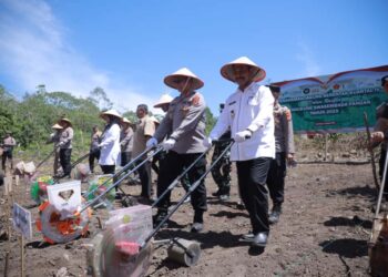 Wakil Bupati Aceh Besar Drs Syukri A Jalil mendampingi Kapolda Aceh Irjen Pol. Drs. Marzuki Ali Basyah, M.M pada penanaman jagung secara serentak di Desa Suka Damai, Saree, Kecamatan Lembah Seulawah, Rabu (08/10/2025). FOTO/MC ACEH BESAR