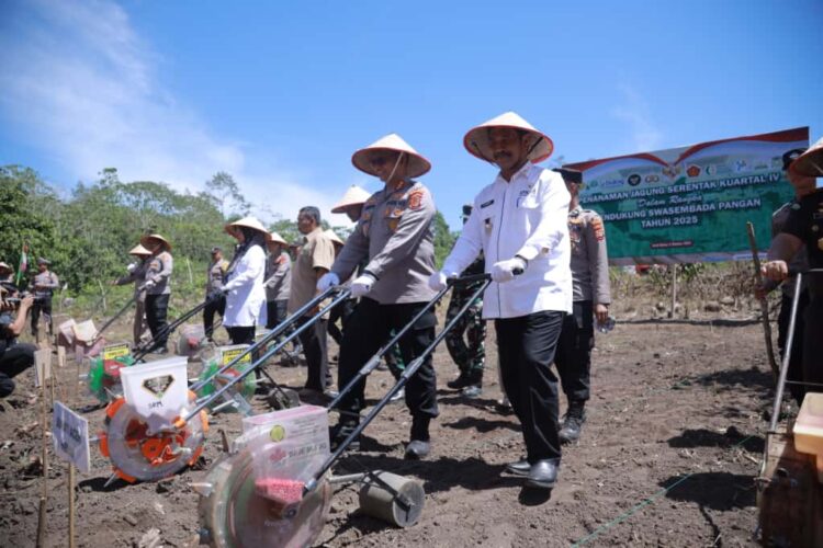 Wakil Bupati Aceh Besar Drs Syukri A Jalil mendampingi Kapolda Aceh Irjen Pol Drs Marzuki Ali Basyah MM pada penanaman jagung secara serentak di Desa Suka Damai Saree Kecamatan Lembah Seulawah Rabu 08102025 FOTOMC ACEH BESAR