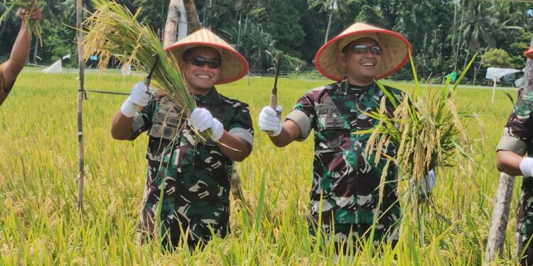 Kasdam IM Brigadir Jenderal TNI Yudha Fitri menghadiri kegiatan panen raya padi di Desa Mesjid Kecamatan Syamtalira Aron Kabupaten Aceh Utara pada Senin 14102025