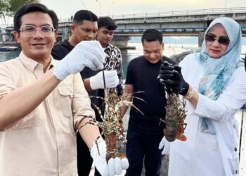 Ketua DPRK Banda Aceh, Irwansyah ST (Kiri), melakukan panen lobster di Keramba Jaring Apung, Ulee Lheue, Banda Aceh, pada Kamis sore (16/10/2025).
