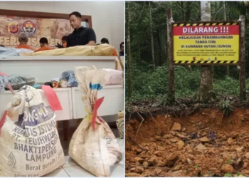 Foto: Ist / Ⓒ Hak cipta foto di atas dikembalikan sesungguhnya kepada pemilik foto