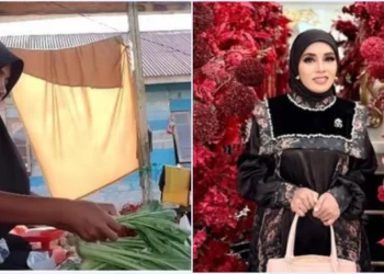 Ⓒ Hak cipta foto di atas dikembalikan sesungguhnya kepada pemilik foto