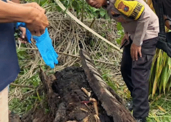 Ⓒ Hak cipta foto di atas dikembalikan sesungguhnya kepada pemilik foto
