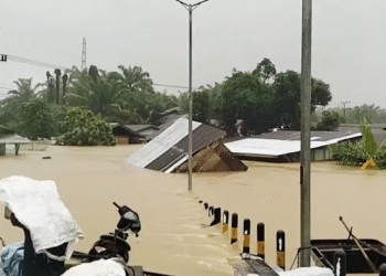 Ⓒ Hak cipta foto di atas dikembalikan sesungguhnya kepada pemilik foto