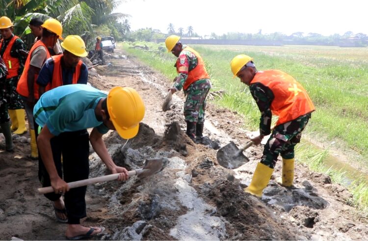 TNI Angkatan Darat TNI AD dan masyarakat gotong royong membangun jaringan irigasi tersier di Kecamatan Pante Bidari dan Simpang Ulim Kabupaten Aceh Timur 30 Oktober 2025 KETIKKABARcom TNI Angkatan Darat TNI AD dan masyarakat gotong royong membangun jaringan irigasi tersier di Kecamatan Pante Bidari dan Simpang Ulim Kabupaten Aceh Timur 30 Oktober 2025