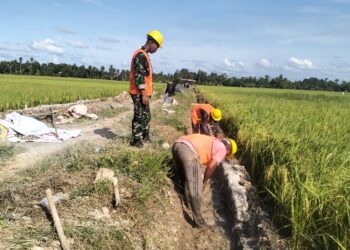 Ⓒ Hak cipta foto di atas dikembalikan sesungguhnya kepada pemilik foto