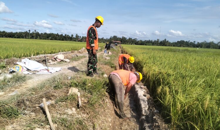 Ⓒ Hak cipta foto di atas dikembalikan sesungguhnya kepada pemilik foto KETIKKABARcom Ⓒ Hak cipta foto di atas dikembalikan sesungguhnya kepada pemilik foto