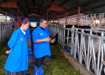Bupati Aceh Besar H Muharram Idris Syech Muharram berdialog dengan Kepala Balai Embrio Ternak Cipelang Deasy Zamanti SPt MSi pada kunjungan kerja ke Balai Embrio Ternak BET Cipelang Cijeruk Kabupaten Bogor Jawa Barat Rabu 12112025 FOTO PEMKAB ACEH BESAR KETIKKABARcom Bupati Aceh Besar H Muharram Idris Syech Muharram berdialog dengan Kepala Balai Embrio Ternak Cipelang Deasy Zamanti SPt MSi pada kunjungan kerja ke Balai Embrio Ternak BET Cipelang Cijeruk Kabupaten Bogor Jawa Barat Rabu 12112025 FOTO PEMKAB ACEH BESAR