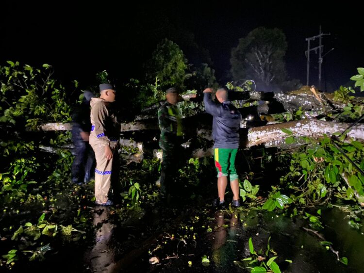 Ⓒ Hak cipta foto di atas dikembalikan sesungguhnya kepada pemilik foto KETIKKABARcom Ⓒ Hak cipta foto di atas dikembalikan sesungguhnya kepada pemilik foto