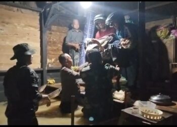 Ⓒ Hak cipta foto di atas dikembalikan sesungguhnya kepada pemilik foto