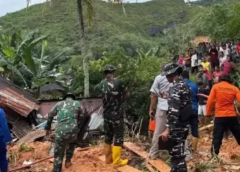 Ⓒ Hak cipta foto di atas dikembalikan sesungguhnya kepada pemilik foto